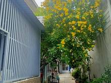 Hình ảnh Bán nhà Nguyễn Sơn, Tân Phú, 30m2, Nhà mới tuyệt đẹp, Chỉ còn 2.8 Tỷ