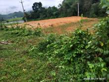 Hình ảnh Bán 1368m2 đất full thổ cư Kim Bôi, Hòa Bình giá siêu rẻ.