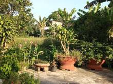 Hình ảnh Bán 4334m2 thổ cư 300 ngay ngã 3 suối cát xuân lộc đồng nai