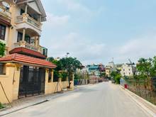 Hình ảnh Cần bán lô đất 231m2 Ngô Xuân Quảng , Trâu Quỳ , Gia Lâm , đường 8m
