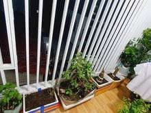 Hình ảnh Bán nhà Thoại Ngọc Hầu Tân Phú cực đẹp, 3 Tầng, 46m2 Chỉ 4.3 Tỷ