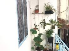 Hình ảnh Nhà đẹp đường Cô Bắc 48 m2 sử dụng, 2 phòng ngủ, 2 wc chỉ 3.85 tỷ