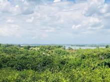 Hình ảnh Bán đất vườn quýt có view Hồ Trị An giá 775tr