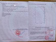 Hình ảnh Bán sổ lâu năm ngay kdc hiện hữu,đang trồng keo tràm,mt trước đất 6m