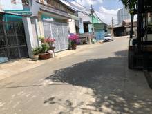 Hình ảnh Nhà cấp 4 tại hẻm 131 mã lò, dt: 100m2, hẻm 8m, giá: 5.6 tỷ.