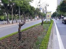 Hình ảnh Cần bán nhà Mặt ngõ Kim Giang giá 3.7 tỷ, 51mx4 tầng, ngõ nông