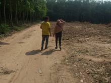 Hình ảnh Cần bán đất Chánh Phú Hòa bao sang tên !!