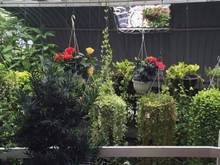 Hình ảnh Bán nhà hẻm Cách Mạng Tháng Tám,P.7,Q.TB,9.5x20m,1 trệt,1 lầu, 28 tỷ