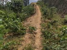 Hình ảnh Chính chủ bán nhanh 1.1ha đất Bình Sơn, Kim Bôi view tuyệt đẹp.