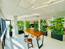 Hình ảnh Văn Phòng Bình Thạnh 169m2 nhiều ưu đãi.