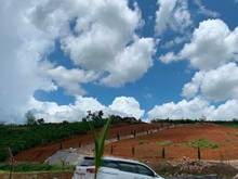 Hình ảnh Đất nghỉ dưỡng Lâm Đồng - view đẹp