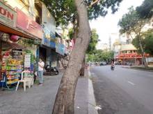 Hình ảnh Cho Thuê Nhà 2 Mặt Tiền Làm Showroom 4x20m Đ. Đinh Tiên Hoàng 45tr/th