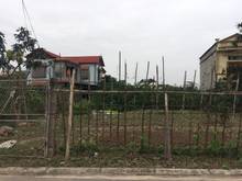 Hình ảnh Gia đình có việc bán gấp mảnh đất biệt thự 31ha Trâu Quỳ 100m khu H2-3