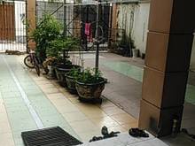 Hình ảnh Bán nhà đường 61 tân kiểng, quận 7