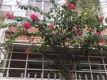 Hình ảnh Bán Nhà Tân Phú 50m2, 1 trệt 1 lầu, 3 PN chỉ nhỉnh 4 tỷ.