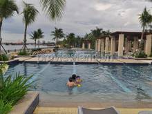 Hình ảnh Biệt thự Riviera An Phú, 305m2, sần vườn, 3 tầng, Giá bán 65 tỷ