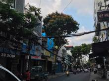 Hình ảnh Bán nhà hẻm Phạm Văn Bạch, P.15, Q.TB, 4x12.1m, giá 4 tỷ