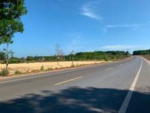 Hình ảnh Mỗi lô trên 1000m2, có cổng hàng rào sẵn như hình, tại xã Láng Dài và