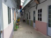 Hình ảnh Bán Dãy Trọ KD 8 Phòng , Có Gác , Bùi Minh Trực - Q8 , Đường Lớn