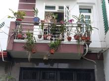 Hình ảnh Hẻm xe tải Lê Sát 4x14m 1 trệt 2 lầu sân thượng đúc kiên cố vào ở ngay