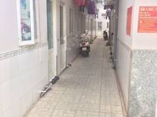 Hình ảnh Bán dãy trọ 150m2 đường Trần Thị Liền, Phước Kiển, Nhà Bè