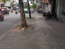 Hình ảnh Cho thuê Nhà MT Nguyễn Đình Chiểu  1 trệt 2 lầu giá 35tr/th