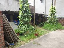 Hình ảnh Chính chủ cần bán mảnh đất 53,4m2 ngõ 29 Phố Trạm - Long Biên trả nợ .