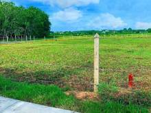 Hình ảnh Đất củ chi lô duy nhất 700m2 giá 1.235 tỷ sổ riêng, công chứng ngay