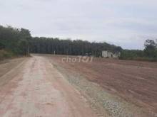 Hình ảnh Đất sào chính chủ cần bán ở Bình Phước