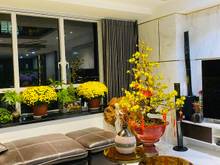 Hình ảnh Sunrise City 100m² 3PN ban công rộng view yên tĩnh giá 4.4 tỷ
