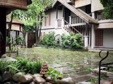 Hình ảnh Cho Thuê Biệt Thự Sân Vườn 500m2 Gần Trần Não Kinh Doanh Đa Dạng