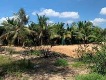 Hình ảnh Trọn sổ 1ty950 diện tích 4000m2 đất dân địa phương xã Phước Khánh