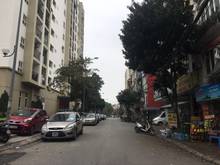 Hình ảnh Cần bán đất mặt phố Chính Trung Trâu Quỳ, DT 113m, hướng Đông Nam
