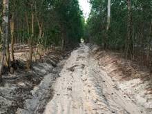 Hình ảnh 4 mẫu đất thôn 2 , Sơn Mỹ . bình thuận. Giá 8 tỷ 200