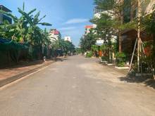 Hình ảnh Bán đất cứu doanh nghiệp, 247m đất khu biệt thự M3 31ha Trâu Quỳ