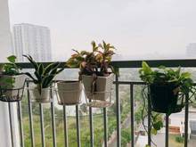Hình ảnh Cần bán Mb6623 nạp rút nhanh chóng Ngoại giao đoàn cạnh Đại sứ quán 113m2 chia 3 ngủ full