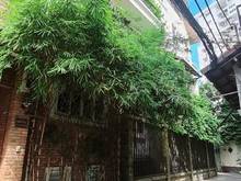 Hình ảnh HXH Nguyễn Văn Nghi Phường 7 Gò Vấp, 60m2, 4 phòng ngủ chỉ 5 tỷ 1.