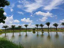 Hình ảnh Đất Phú Hội, Nhơn Trạch kết nối trực tiếp sân bay Quốc tế Long Thành.