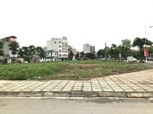 Hình ảnh Chủ cần tiền bán gấp lô góc, đường 30m, kinh doanh đỉnh ở Trâu Quỳ