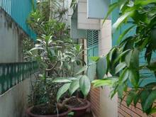 Hình ảnh Hxh ngang 6.3  etown cộng hòa, tân bình. Gía 8 tỷ 6. Lh 0398116768