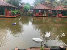 Hình ảnh Bán đất tổ 1 View hồ Thạch Bàn, Long Biên ô tô chạy vòng quanh