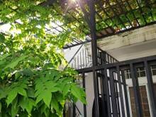 Hình ảnh Rẻ đẹp nhất Lâm Du, Bồ đề 58m2, 4 tầng, có sân, chỉ có 4.25 tỉ