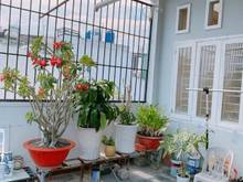 Hình ảnh Bán nhà 2 mặt hẻm Lê Văn Sỹ - Đặng Văn Ngữ 4.3x11m 4 lầu. Giá 7.2 tỷ