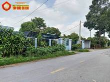 Hình ảnh Bán nhà vườn đường bùi thị điệt - 1003m2 - 14.5x69 - 100m2 thổ cư -