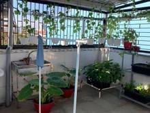 Hình ảnh Nhà 5T, diện tích 57m2, giá nhỉnh 12 tỷ, đường Nguyễn Tiểu Là, Quận 10
