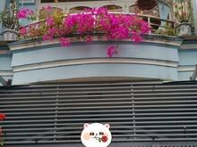 Hình ảnh Bán nhà HXH, Trịnh Đình Trọng, Phú Trung, Tân Phú 110 m2 - giá 7 tỷ 9