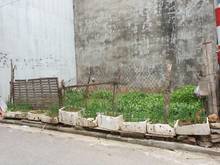 Hình ảnh Bán 30m2 ngõ 83 Phúc Lợi, Long Biên gần trường, gần chợ…