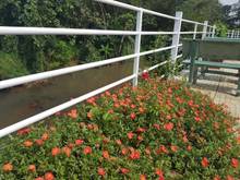Hình ảnh Bán đất sổ riêng KCN Dầu Giây - Thống Nhất - Đồng Nai, 830 tr.