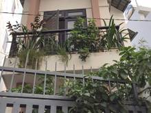 Hình ảnh Nhà 1 Lầu Hẻm 160 Nguyễn Văn Quỳ, Phường Phú Thuận, Quận 7