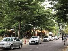 Hình ảnh Đất nhà phố biệt thự khu Thanh Niên XUng Phong đường Hiệp Bình, sổ đỏ